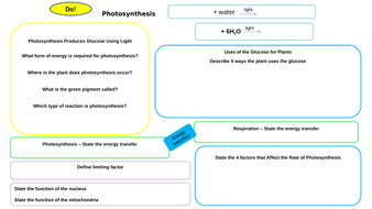 Photosynthesis Worksheet Organised Work Mat Information Mat