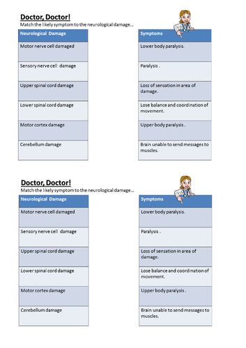 Neuropsychology and Brain Scan Techniques - AQA GCSE Psychology (9-1)