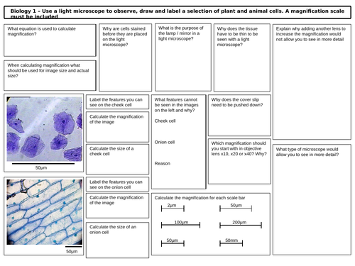 GCSE Biology Prescribed Practical Microscopes Revision Mat