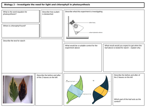 GCSE Biology Prescribed Practicals Test for starch Revision mat