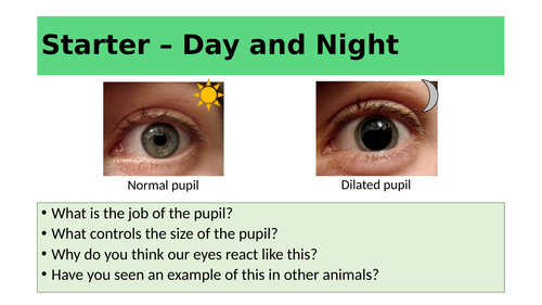 Light, Vision - Year 7 KS3