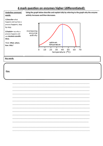 docx, 39.43 KB