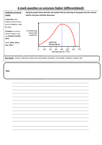 docx, 39.61 KB