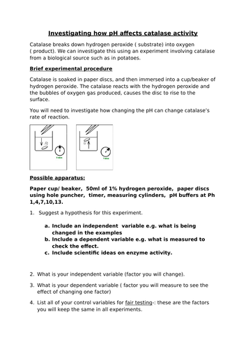 docx, 61.8 KB