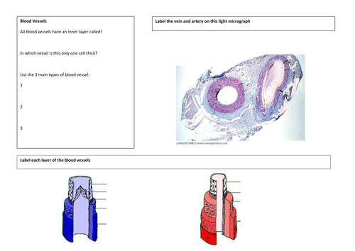 docx, 169.64 KB