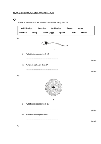 YEAR 7 ORGANISMS AND GENES MINI ASSESSMENTS HIGHER AND FOUNDATION WITH ...