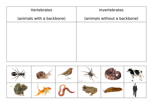 Living things and their habitats -Classification (grouping of