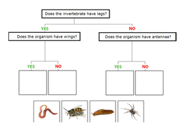 Living things and their habitats -Classification (grouping of ...