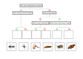 Living things and their habitats -Classification (grouping of