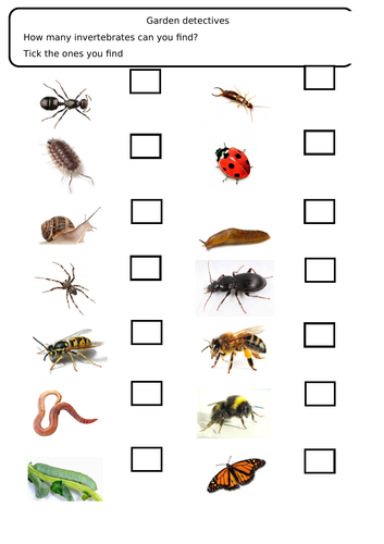 Living things and their habitats -Classification (grouping of