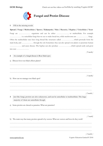 GCSE Biology (9-1) - Fungal and Protist Disease - Worksheet | Teaching ...