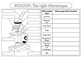 GCSE Biology: Complete Lesson on the Introduction of the Microscope ...