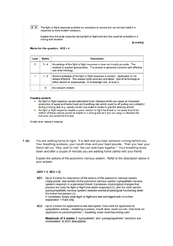 docx, 358.19 KB