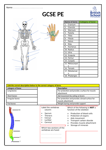 docx, 176.27 KB