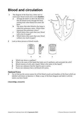 Ks3 Circulatory System Teaching Resources