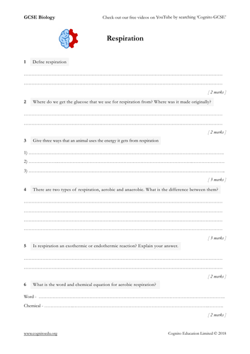GCSE Biology (9-1) - Respiration - Worksheet and Video | Teaching Resources