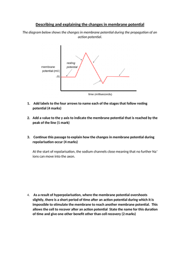 docx, 55.4 KB