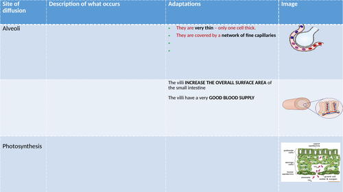 New AQA GCSE Diffusion Full Lesson | Teaching Resources