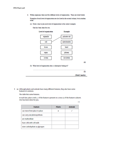 docx, 98.67 KB