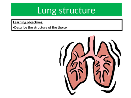 Igcse Edexcel Biology 9 1 Topic 5 Breathing And Respiration 9309