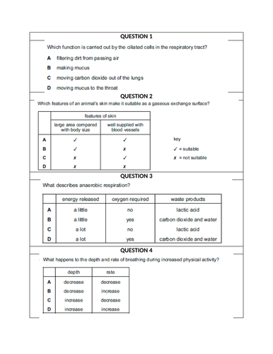 docx, 616.12 KB