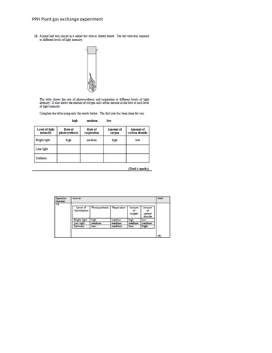 docx, 145.48 KB