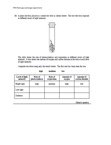 docx, 127.89 KB