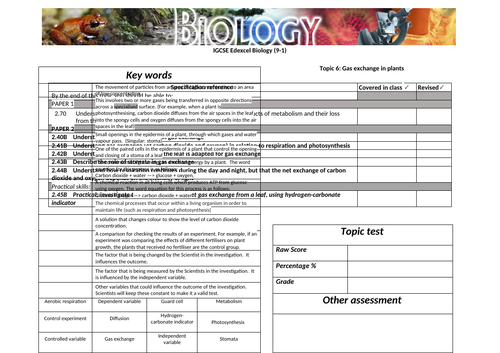 docx, 45.12 KB