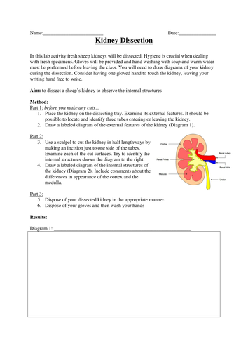 docx, 179.41 KB