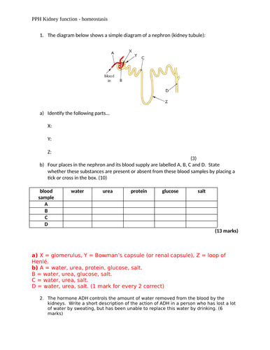 docx, 234.49 KB