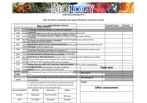 docx, 49.57 KB