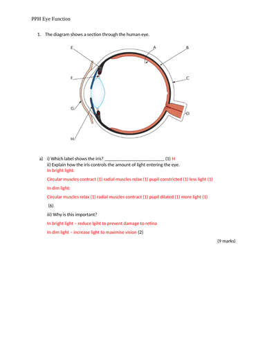 docx, 280.12 KB