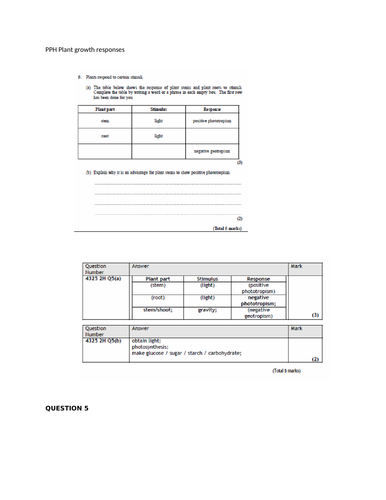 docx, 111.2 KB