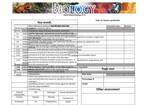 docx, 50.1 KB