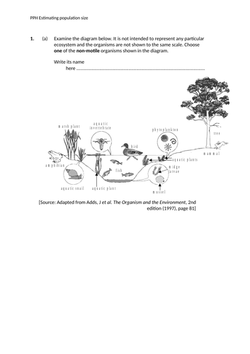 docx, 181.55 KB