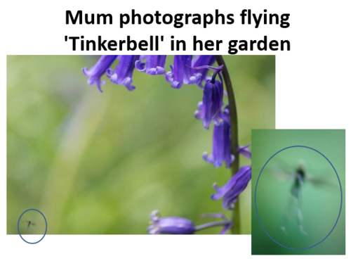 PNG, 365.35 KB