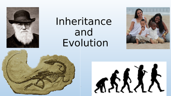 evolution and inheritance year 6 science by guybenedictmulvaney ...