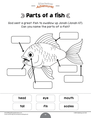 Jonah and the Big Fish Activity Book for Beginners | Teaching Resources