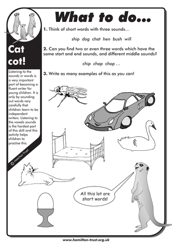 Cat Cot - English Homework - KS1