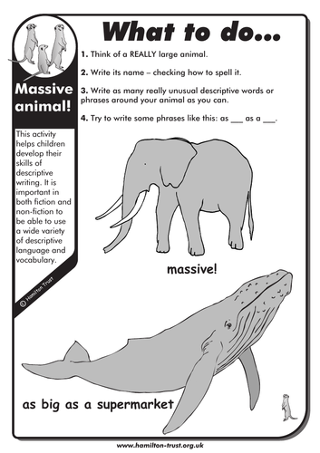Massive Animal - English Homework - KS1