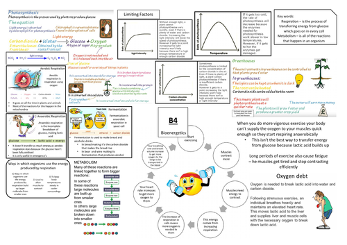 AQA GCSE Biology (9-1) B4 Double and Triple Science Revision Summary Sheets