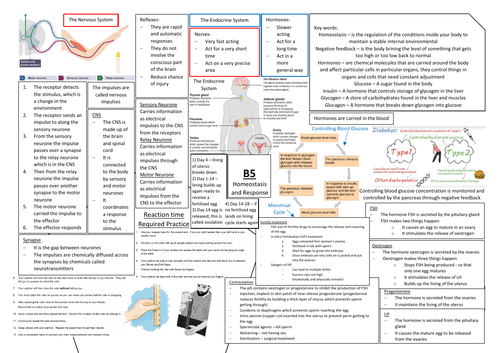 AQA GCSE Biology (9-1) B5 Double Science Revision Summary Sheets