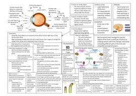 AQA GCSE Biology (9-1) B5 Triple Science Revision Summary Sheets ...