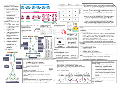 AQA GCSE Biology (9-1) B6 Double Science Revision Summary Sheets