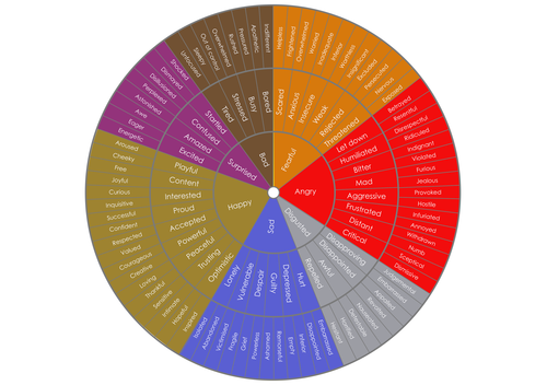 Emotion Wheel/chart | Teaching Resources