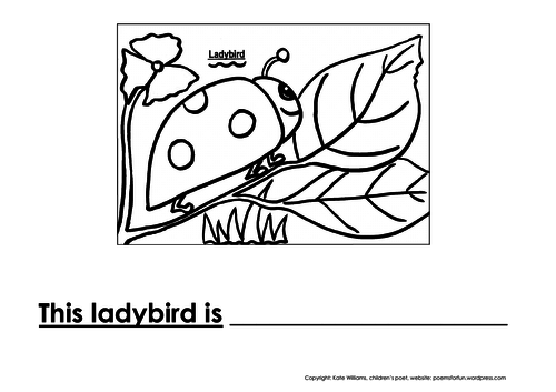 Ladybird Writing + Colouring Sheet - 1 line