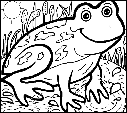 Frog Colouring Sheet