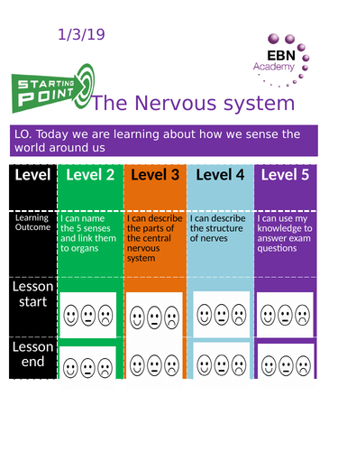 Edexcel - Paper 1 - Nervous system