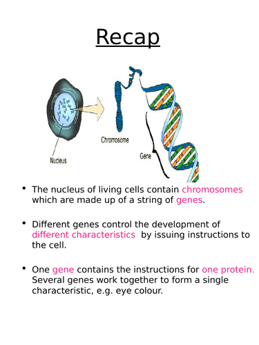 Edexcel - Paper 1 - Alleles