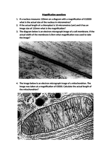 GCSE or A-level Biology magnification questions | Teaching Resources